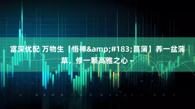 富深优配 万物生【悟禅·菖蒲】养一盆蒲草，修一颗高雅之心～